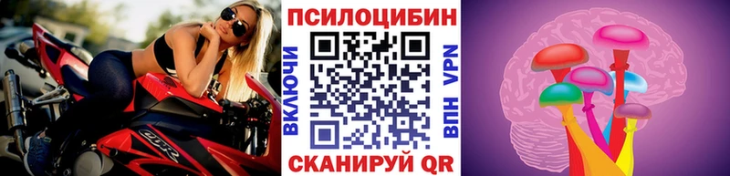 Псилоцибиновые грибы прущие грибы купить наркотики цена Чебаркуль